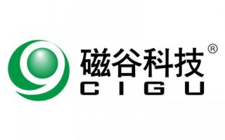 南京磁谷科技有限公司 磁谷科技2024年1-9月净利润为203782万元，较去年同期增长747%