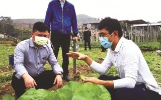 上海大新科技 五河县大新镇科技特派员田间地头“把脉问诊”