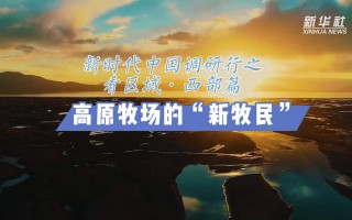 上海环余科技 新时代中国调研行之文化中华·文明探源丨南海沉船遗址：见证海上丝路的“时间胶囊”