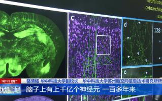 华中科技红岭 直播预告｜大脑里有什么奥秘？脑科学专家与你一起探索