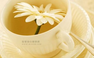 顺志信息科技 畅情顺志 子午能眠 祛热除湿