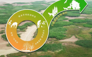 咱科技 生态修复，瞧咱科技的力量